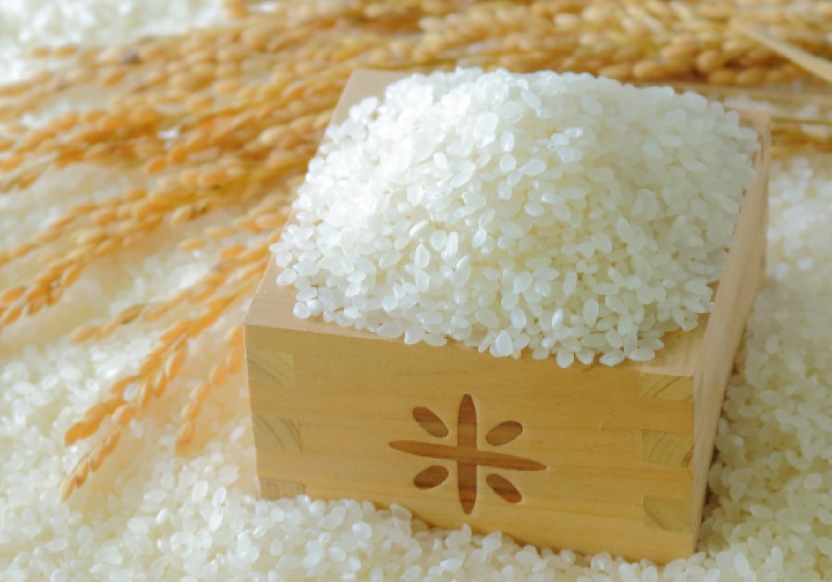 米屋が教える！通販でお米を買う時のポイント | お米の基礎知識